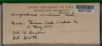 Image Associated With the Occurence